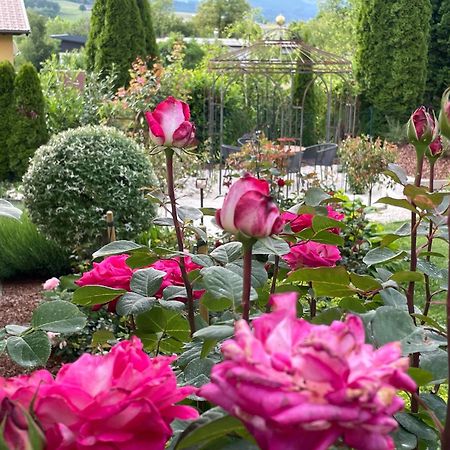 Bed And Breakfast Mittelkaernten Althofen  Zewnętrze zdjęcie