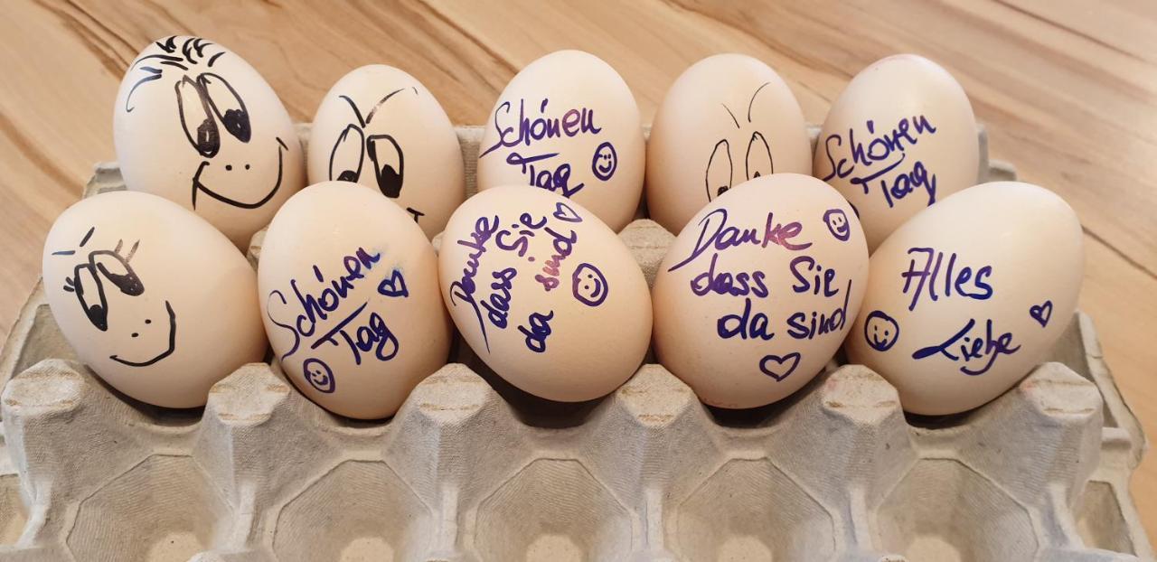 Bed And Breakfast Mittelkaernten Althofen  Zewnętrze zdjęcie