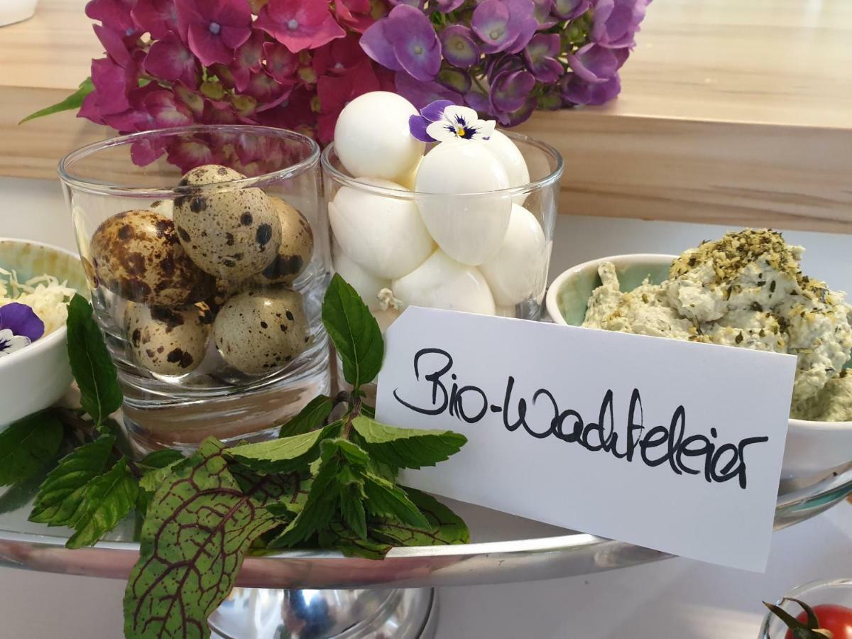 Bed And Breakfast Mittelkaernten Althofen  Zewnętrze zdjęcie